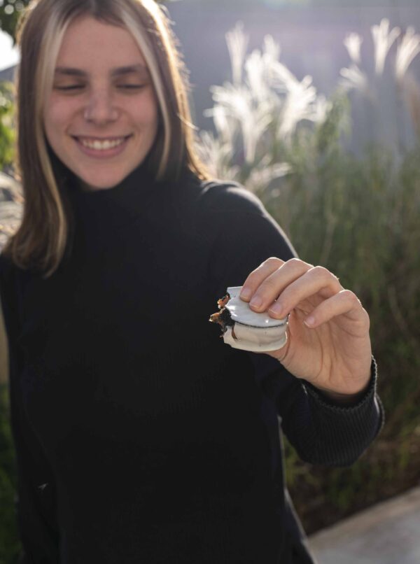 punta ballena alfajores
