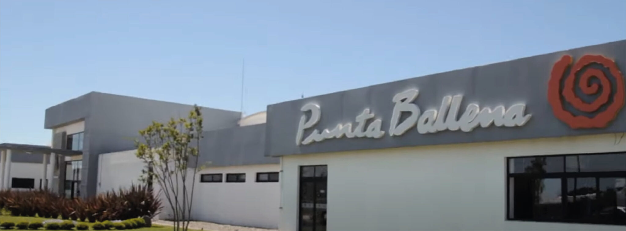 punta ballena alfajores